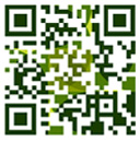 日日鲁鲁鲁夜夜爽爽狠狠视频97